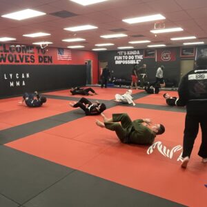 American Jiu Jitsu | Lycan MMA Columbia, SC