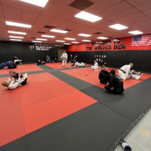 American Jiu Jitsu | Lycan MMA Columbia, SC
